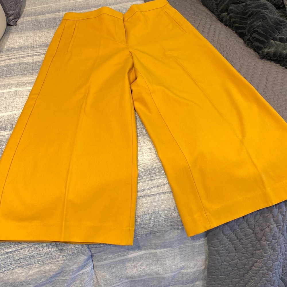 Ann Taylor wide leg crop